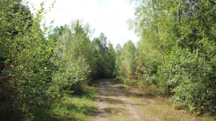 Fastighet Ryd 1:175 och 1:176