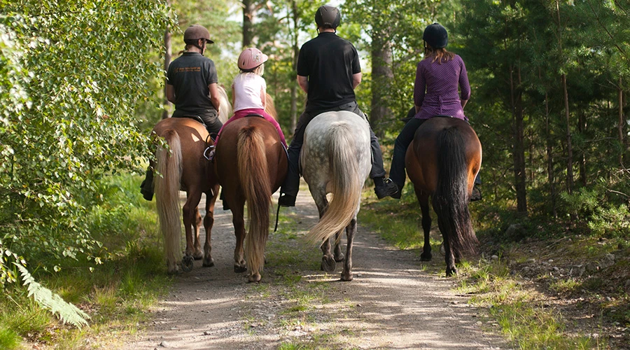 människor rider på hästar på en liten väg.