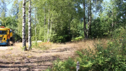 Fastighetstomt med träd
