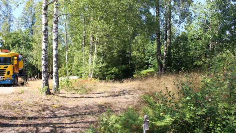 Fastighetstomt med träd
