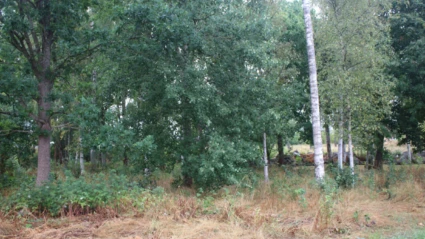Fastighet Björkeberg 1:88