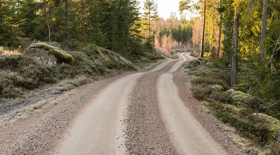 Grusväg genom skog
