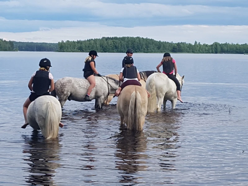Fem personer rider på hästar i grunt vatten, vid hästbadplatsen vid sjön Tiken. Alla ryttare bär hjälm och säkerhetsväst.